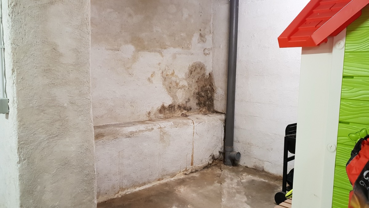 Infiltrations d'eau - Expertise humidité à Charleville-Mézières